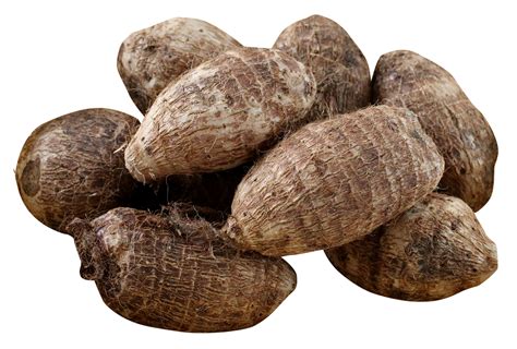 Black Magic Cocoyam: Unlocking its Potential in the Global Market